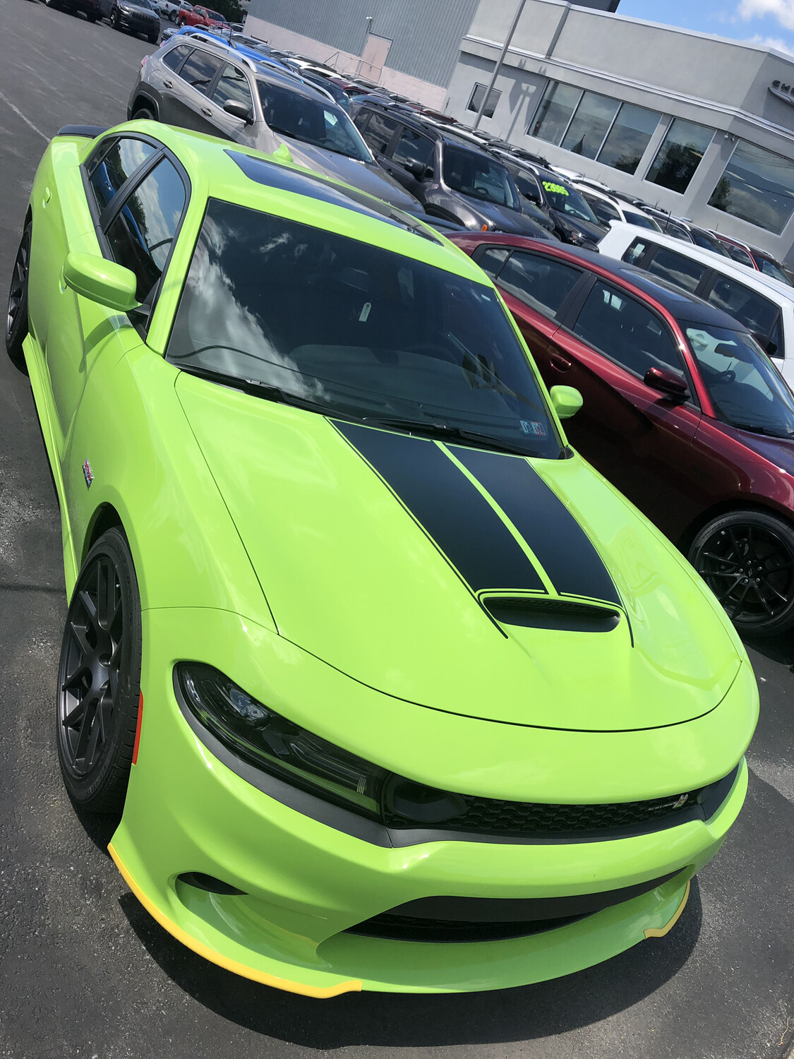 2015 - Up Dodge Charger SRT Hellcat RT GT Scat Pack 6 Piece Hood/Trunk/Spoiler Rally Stripes