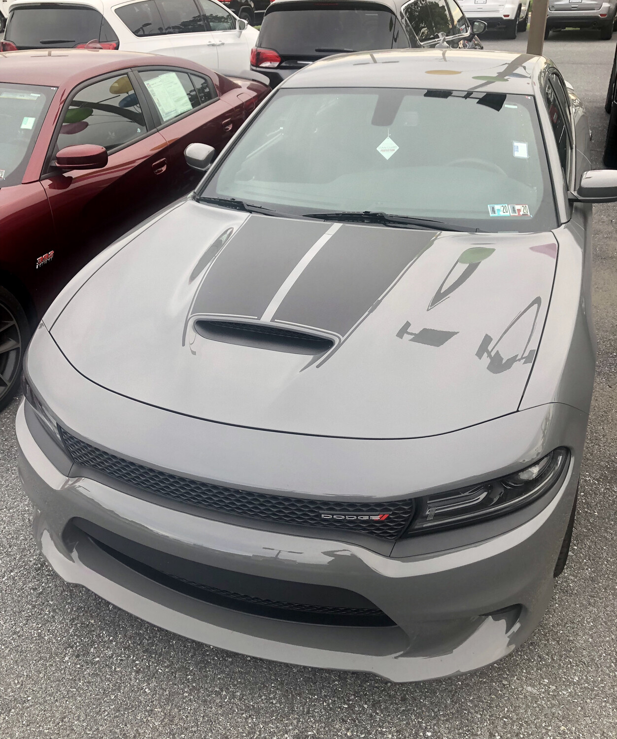 2015 - Up Dodge Charger SRT Hellcat RT GT Scat Pack 6 Piece Hood/Trunk/Spoiler Rally Stripes