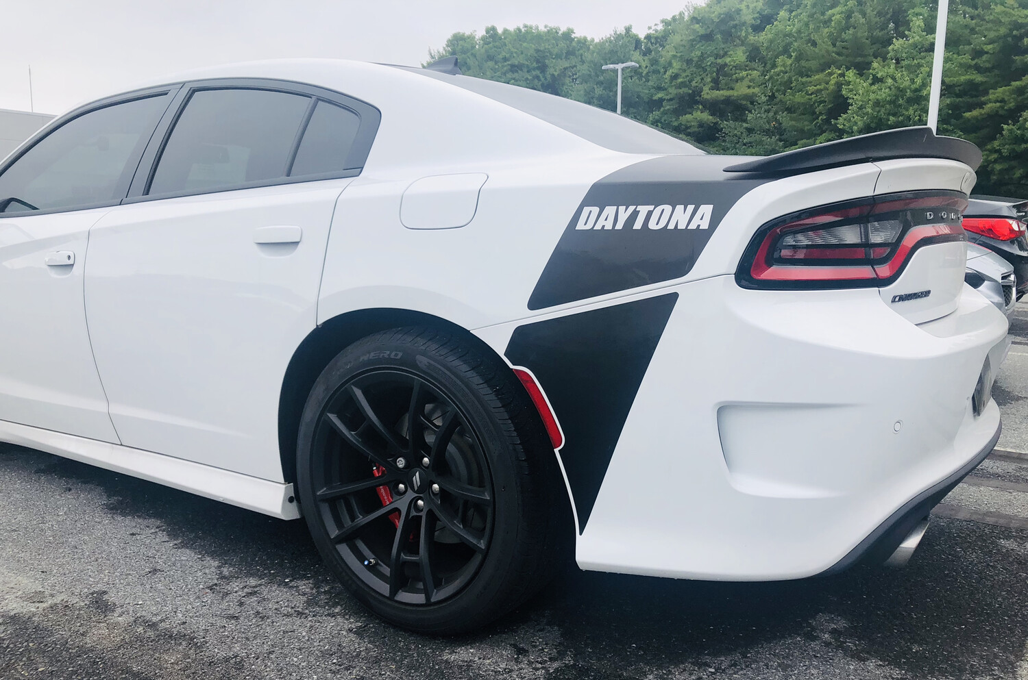 2015 - Up Dodge Charger Daytona Factory Style Tail Stripe Lower Extensions Only