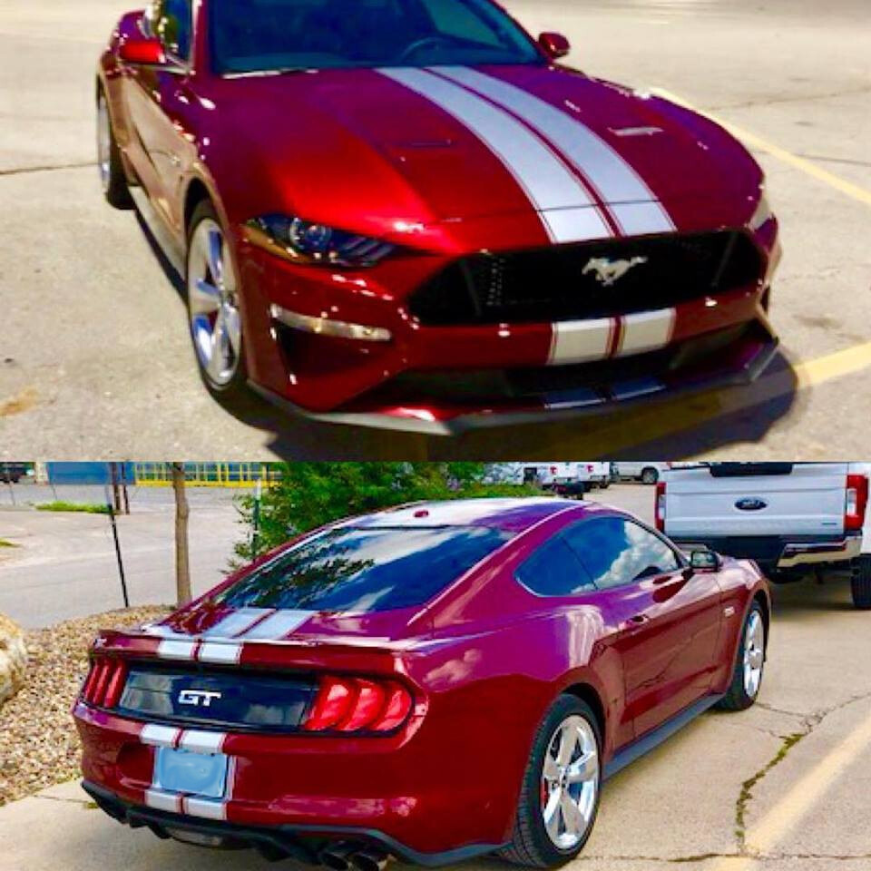2005 - 2023 Mustang Shelby Style Rally Stripes
