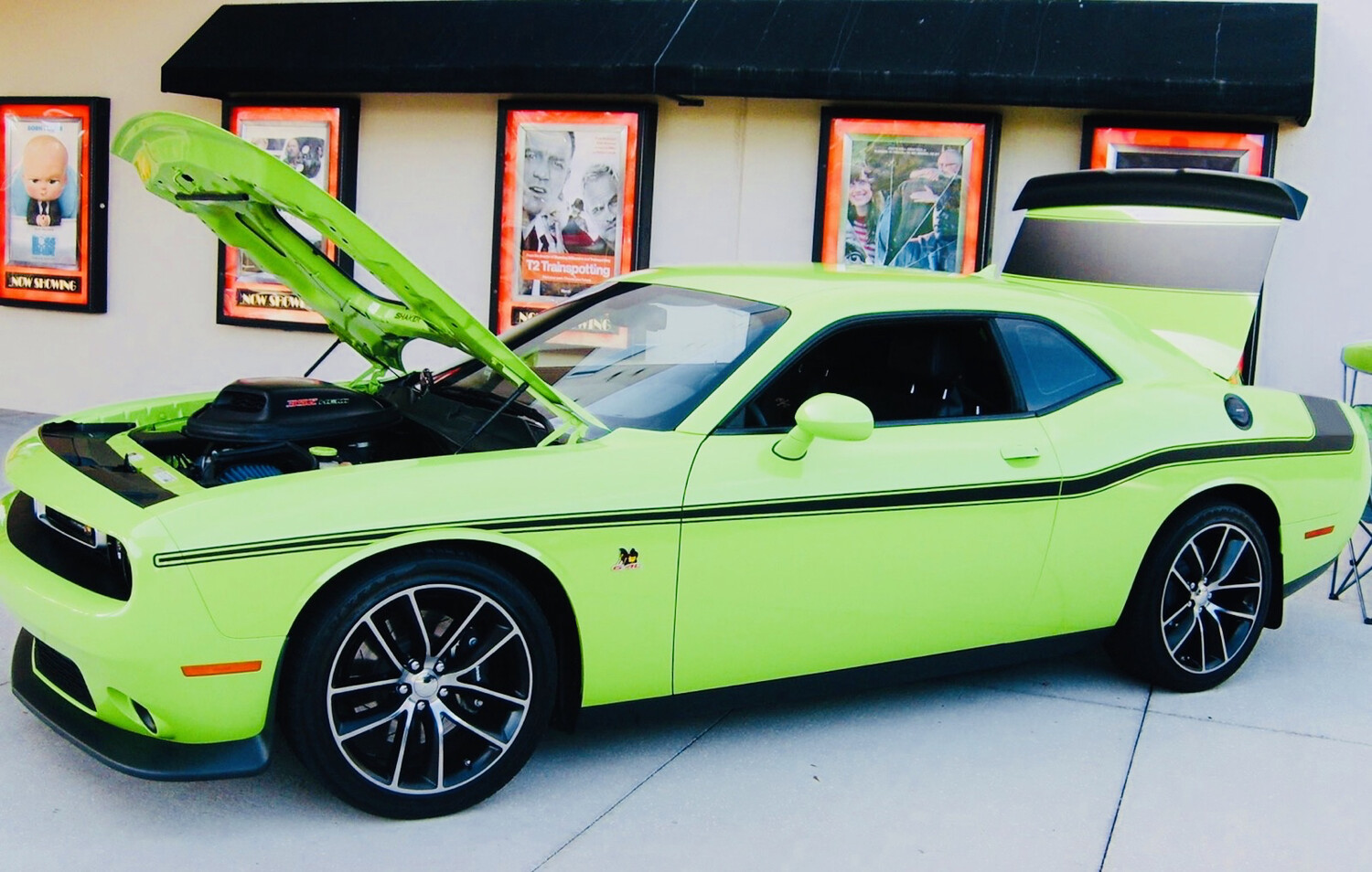 2008 - Up Dodge Challenger Mopar 14 Style Side Stripes