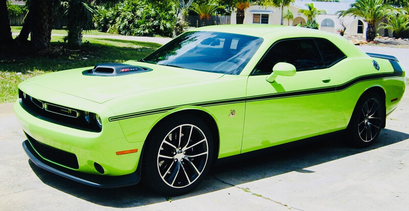 2008 - Up Dodge Challenger Mopar 14 Style Side Stripes