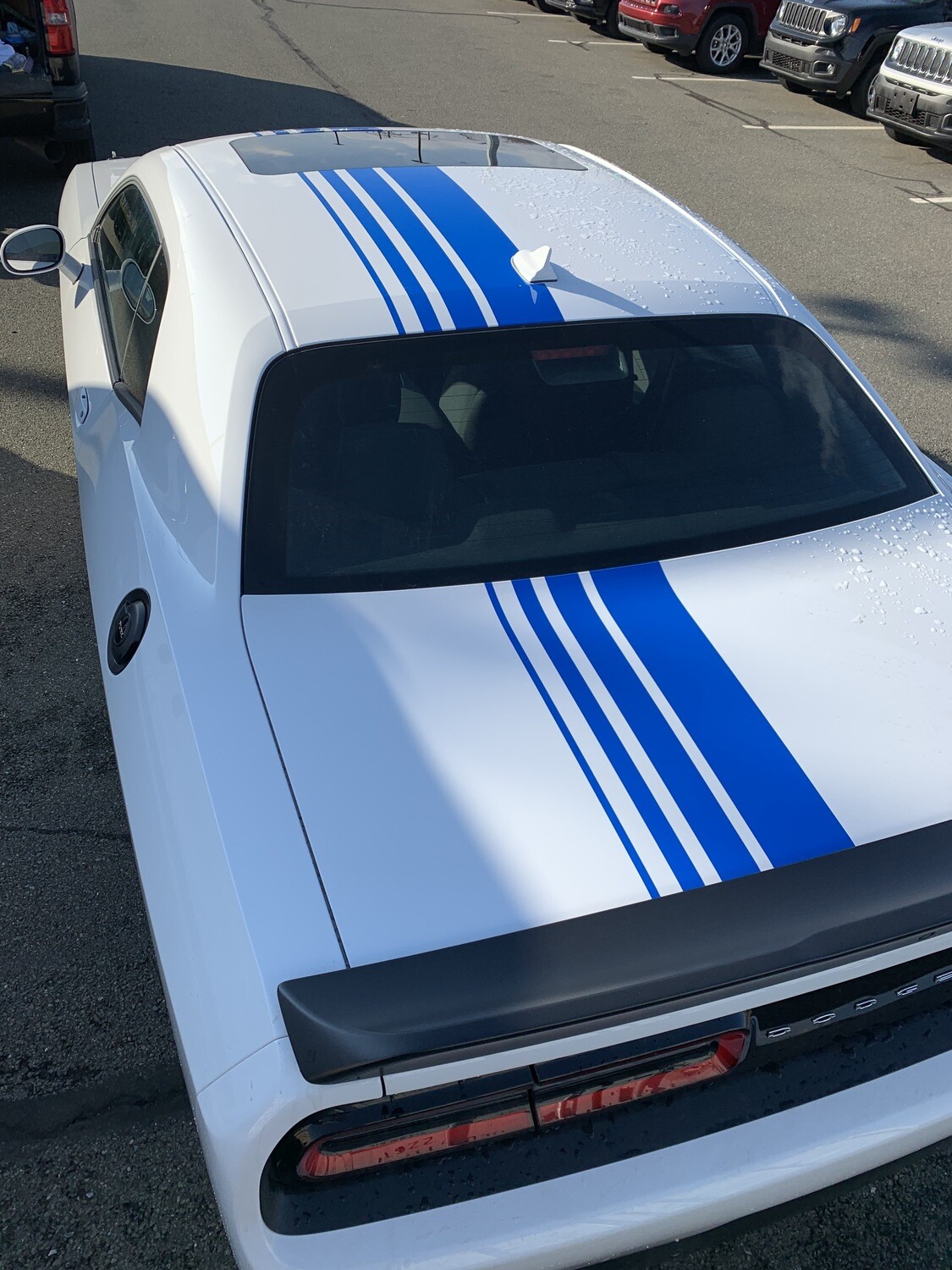 2014 - Up Dodge Challenger Mopar 19 Shakedown Style Rally Stripe Kit​