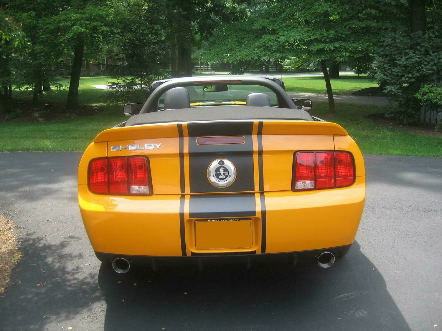 2005 - 2009 Ford Mustang Super Snake Style Stripe Kit