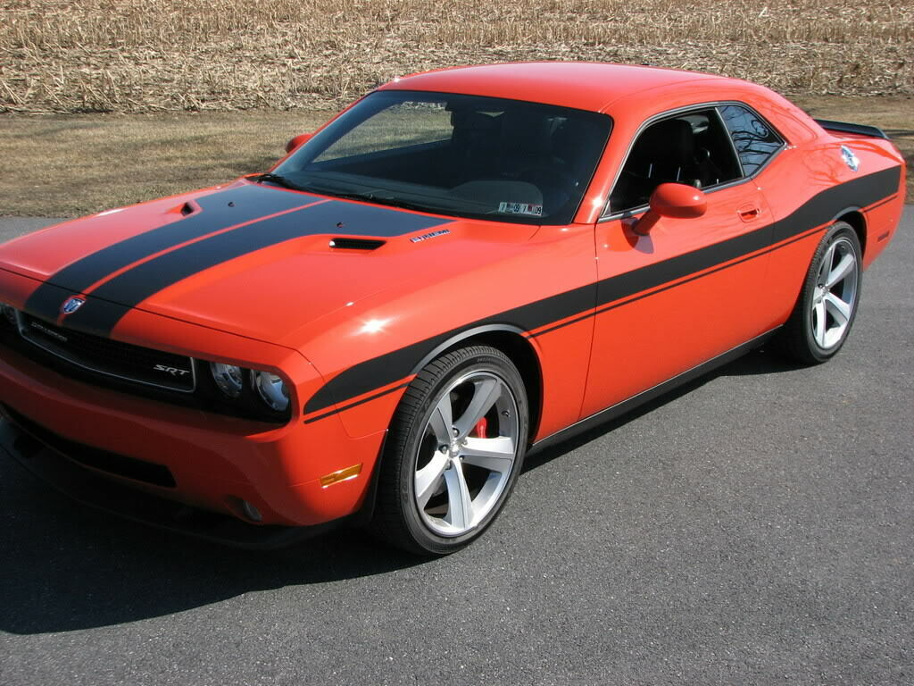 2008 - Up Dodge Challenger Targa Style Side Stripe Vinyl Graphics