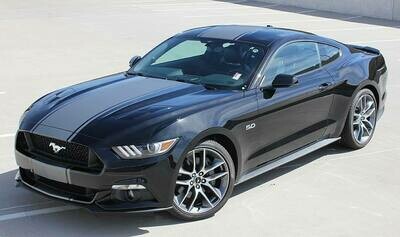2015-2023 Ford Mustang Graphics