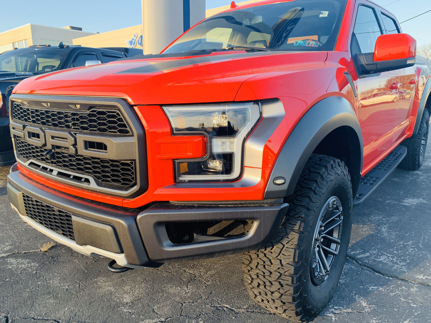 2017 - 2020 Ford F150/ Raptor Headlight and Taillight Accent Graphics 