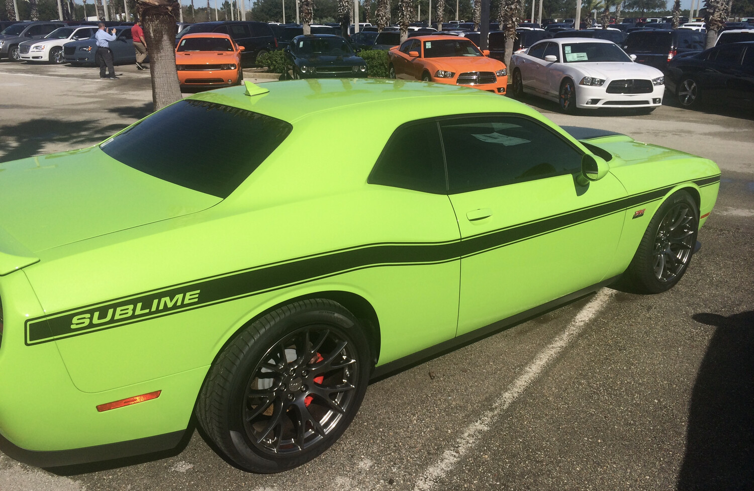 2008 - Up Dodge Challenger "1970 R/T Style" Full Length Lower Bodyline Side Stripe Kit