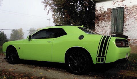 2008 - Up Dodge Challenger Bumble Bee Style Tail Stripes
