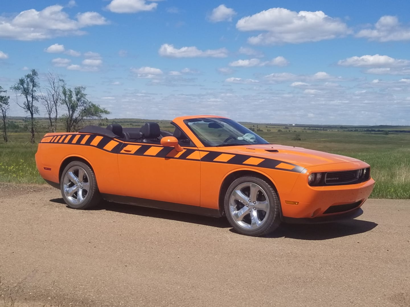 2008 - Up Dodge Challenger Drop Top Style Full Body Length Upper Strobe Side Stripes