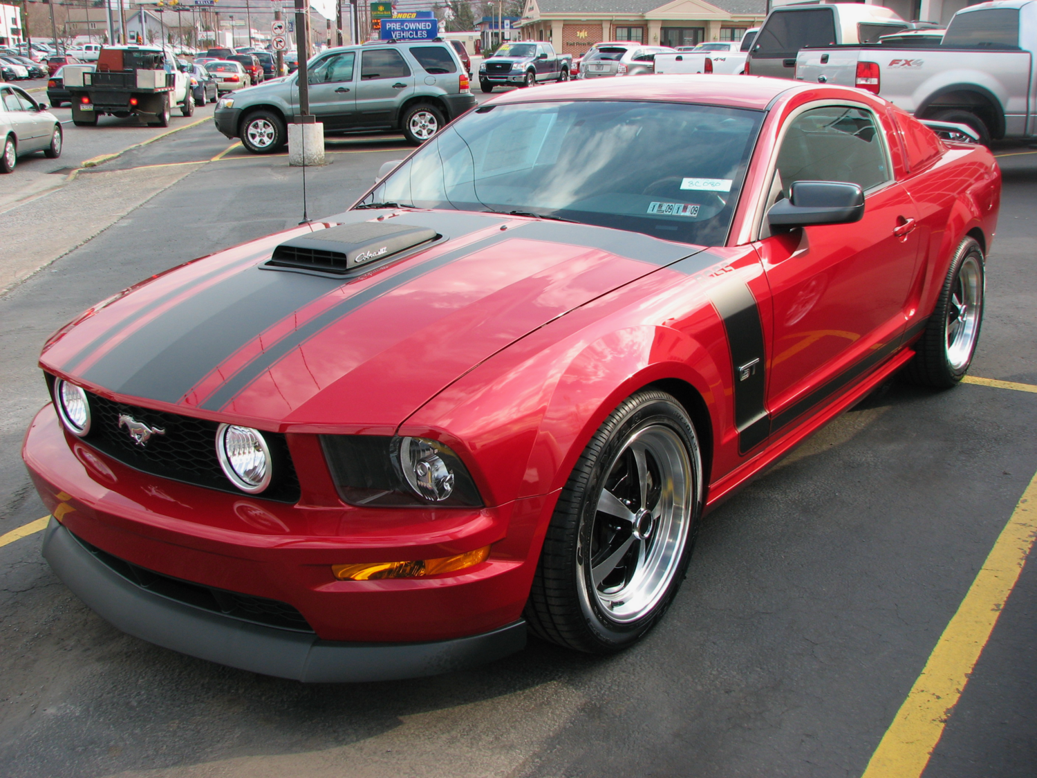 2005 - 2009 Mustang Boss Style Hood/Side Stripe Kit