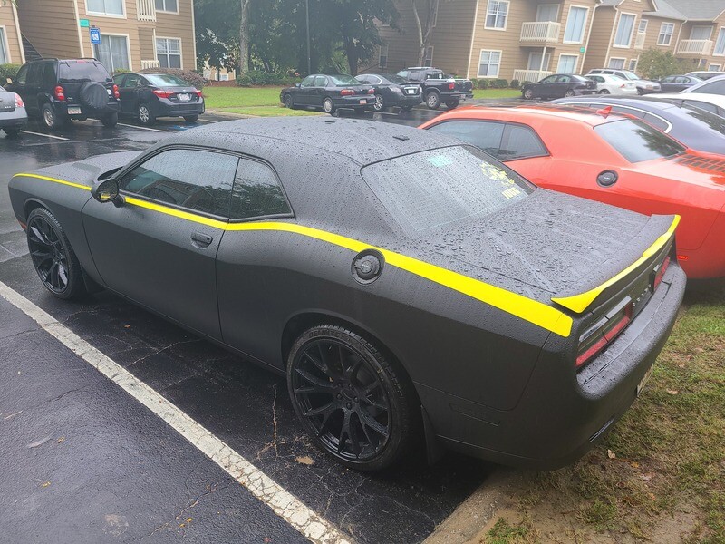 2008 - Up Dodge Challenger Pinstripe Upper Bodyline Stripe Kit