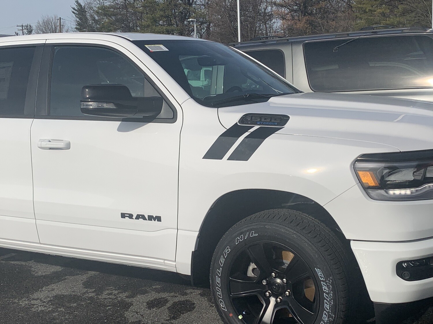 2019 - Up Dodge Ram 1500/2500HD/3500HD Hood to Fender Hash Stripes