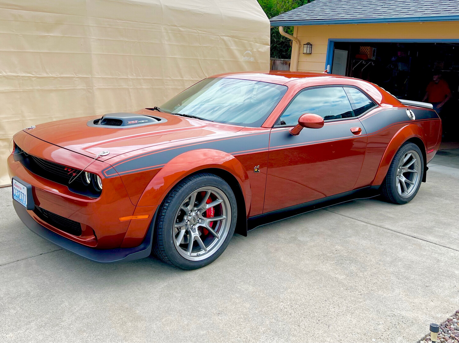 2008 - Up Dodge Challenger Full Body Length Upper Side Stripes