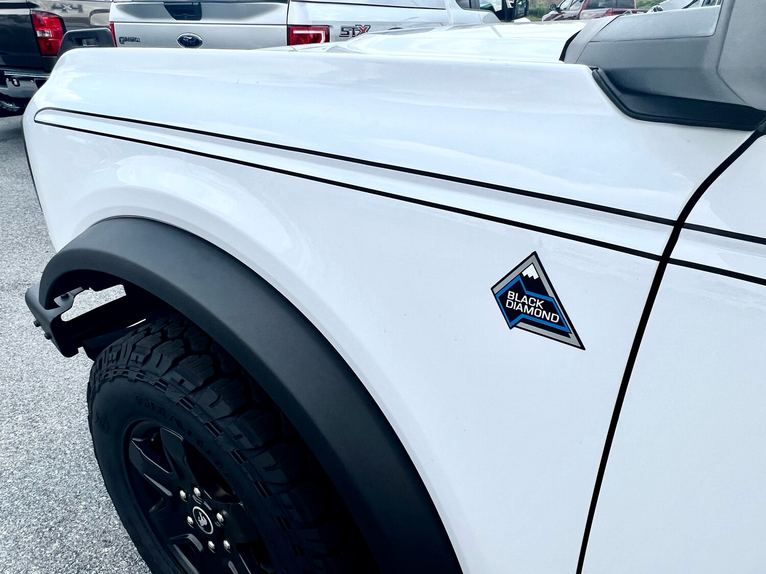 2021-up Ford Bronco Body Crease Accent Pinstripe Heritage Style Stripe