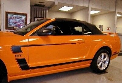 2005 - 2009 Mustang 69 Boss 302 Style Reverse C Stripe Kit (Custom Style)