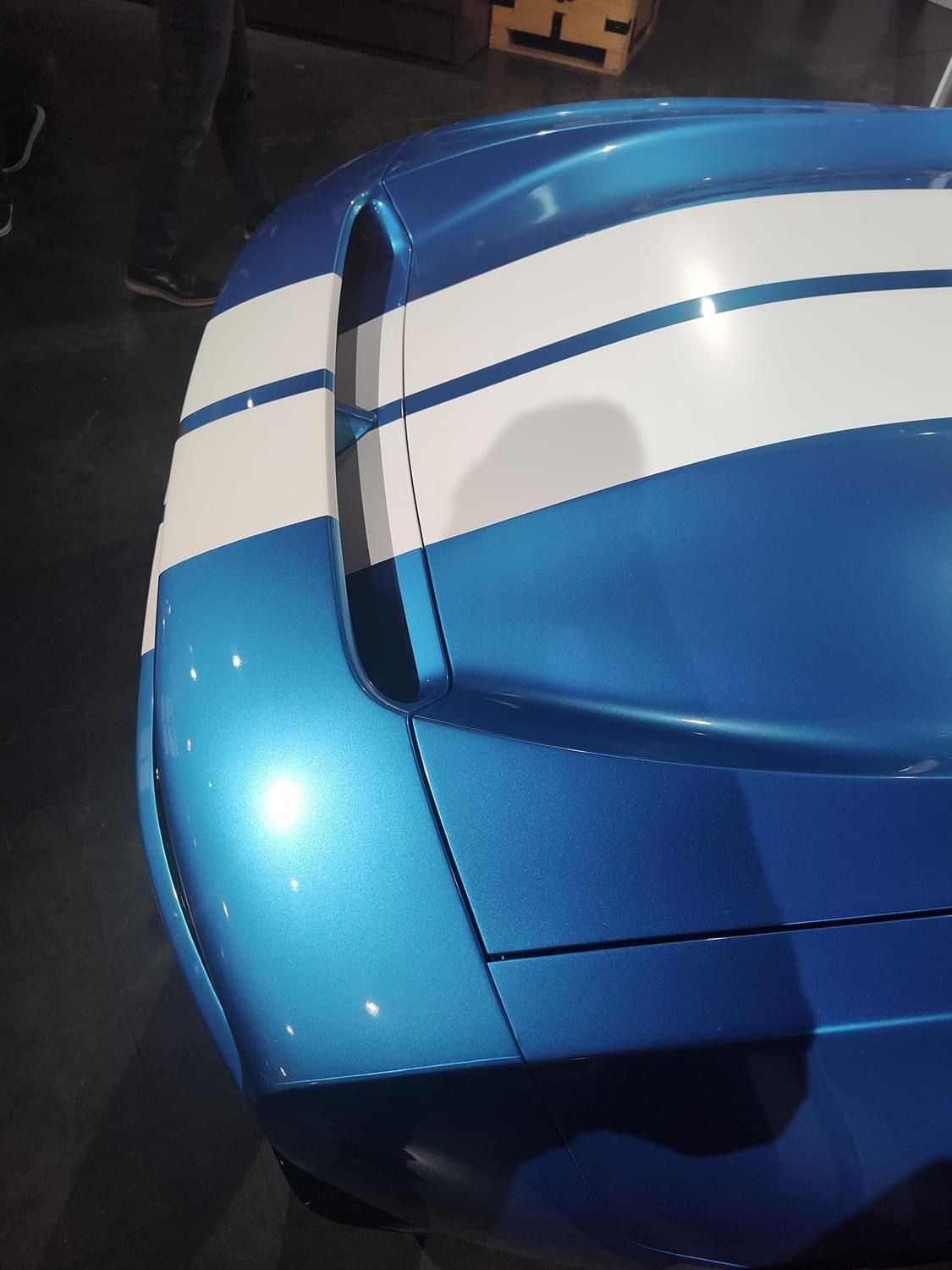 2024 & Up  Dodge Charger EV 2 Door Full Length Rally Stripes