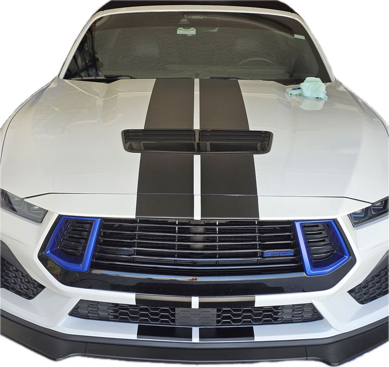 2024 - Up Mustang 8 2024 - Up Mustang 8" Wide Bumper to Bumper Rally Stripes