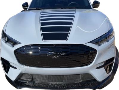 Ford Mustang Mach E Graphics