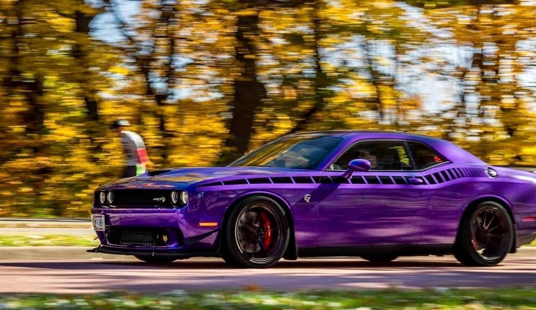2008 - Up Dodge Challenger AAR Style Full Upper Strobe Stripes