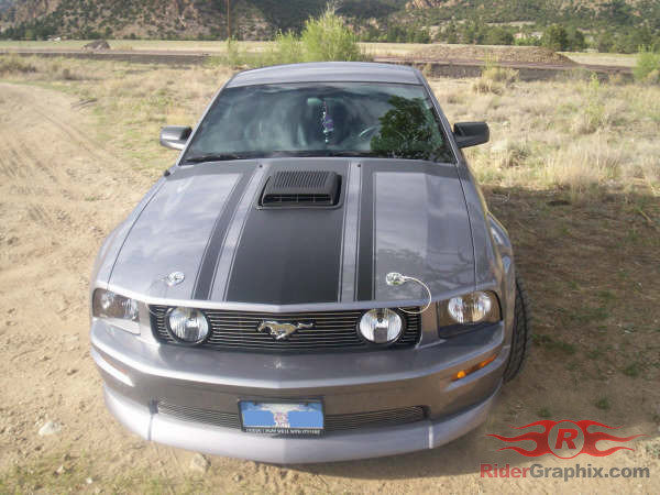 2005 - 2009 Mustang Boss Style Hood/Side Stripe Kit
