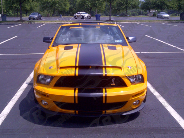 2005 - 2009 Ford Mustang Super Snake Style Stripe Kit