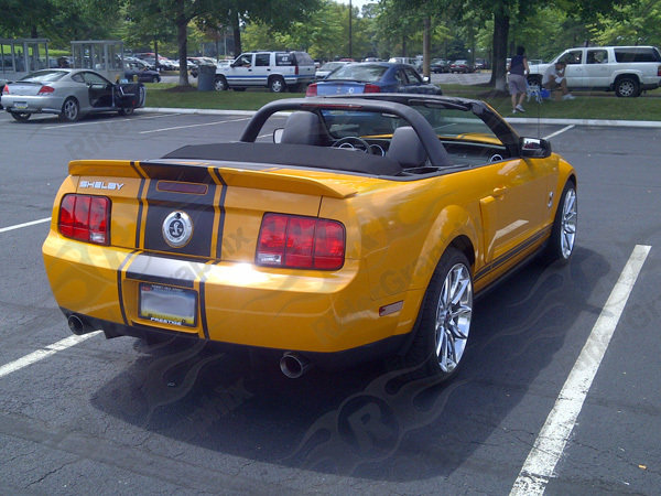 2005 - 2009 Ford Mustang Super Snake Style Stripe Kit