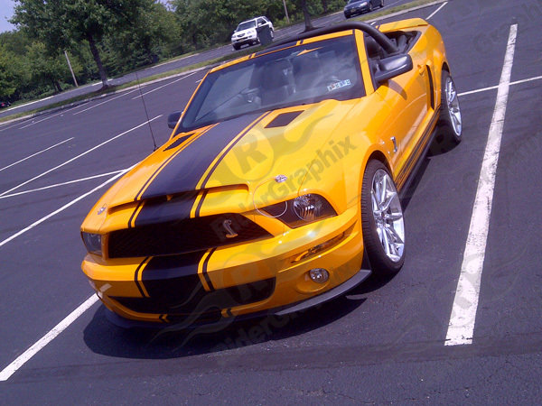 2005 - 2009 Ford Mustang Super Snake Style Stripe Kit