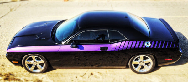 2008 - Up Dodge Challenger Full Body Length Upper Side Stripes