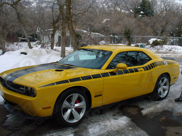 2008 - Up Dodge Challenger AAR Style Full Upper Strobe Stripes