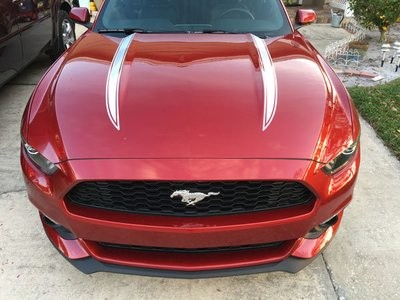 2015 - 2018 Mustang Hood Spear Accent Graphics