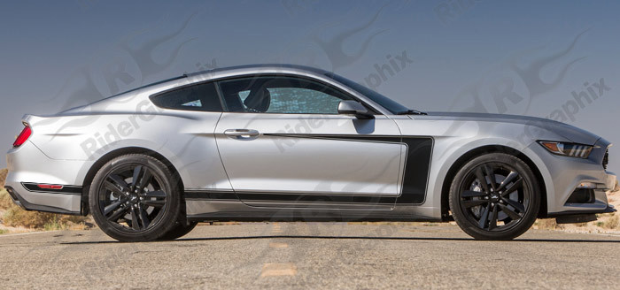 2015 - 2023 Mustang 69 Boss 302 Style Reverse C Stripe Kit