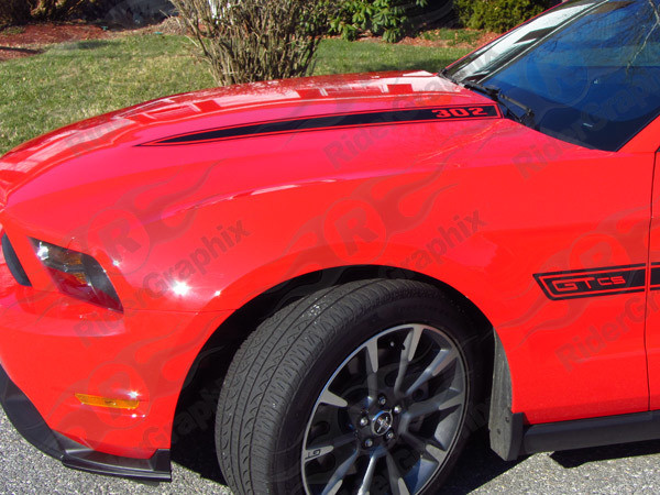 2010-2014 Mustang Hood Spear Accent Graphics