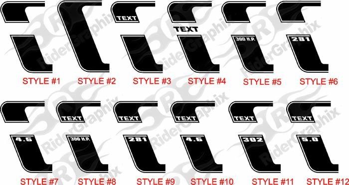 2010-2014 Mustang 69 Boss 302 Style Reverse C Stripe Kit (Custom Style)