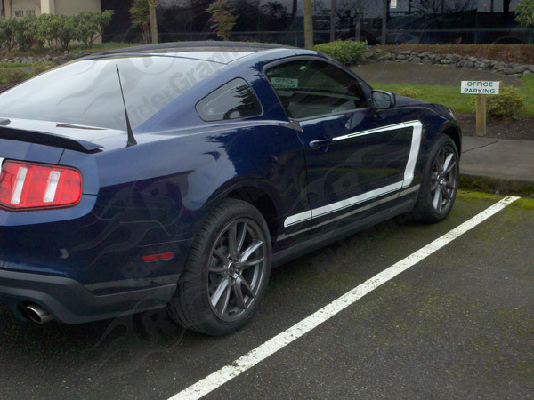 2010-2014 Mustang 69 Boss 302 Style Reverse C Stripe Kit (Custom Style)