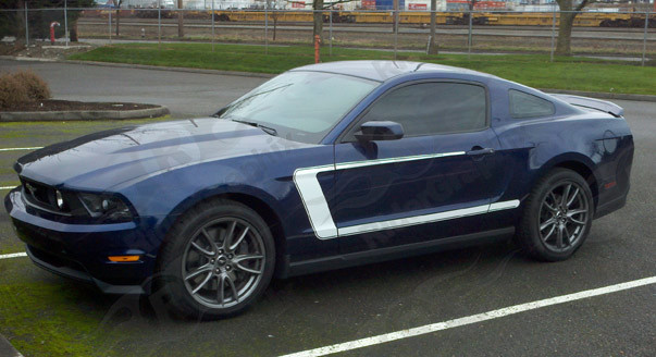 2010-2014 Mustang 69 Boss 302 Style Reverse C Stripe Kit (Custom Style)