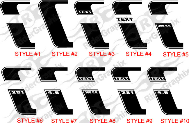 2005 - 2009 Mustang 69 Boss 302 Style Reverse C Stripe Kit (Custom Style)