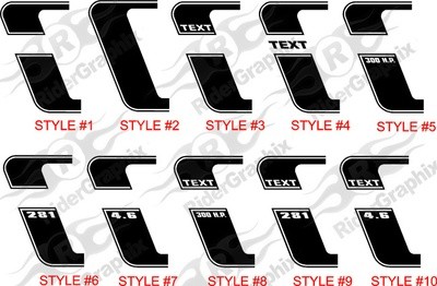 2005 - 2009 Mustang 69 Boss 302 Style Reverse C Stripe Kit (Custom Style)
