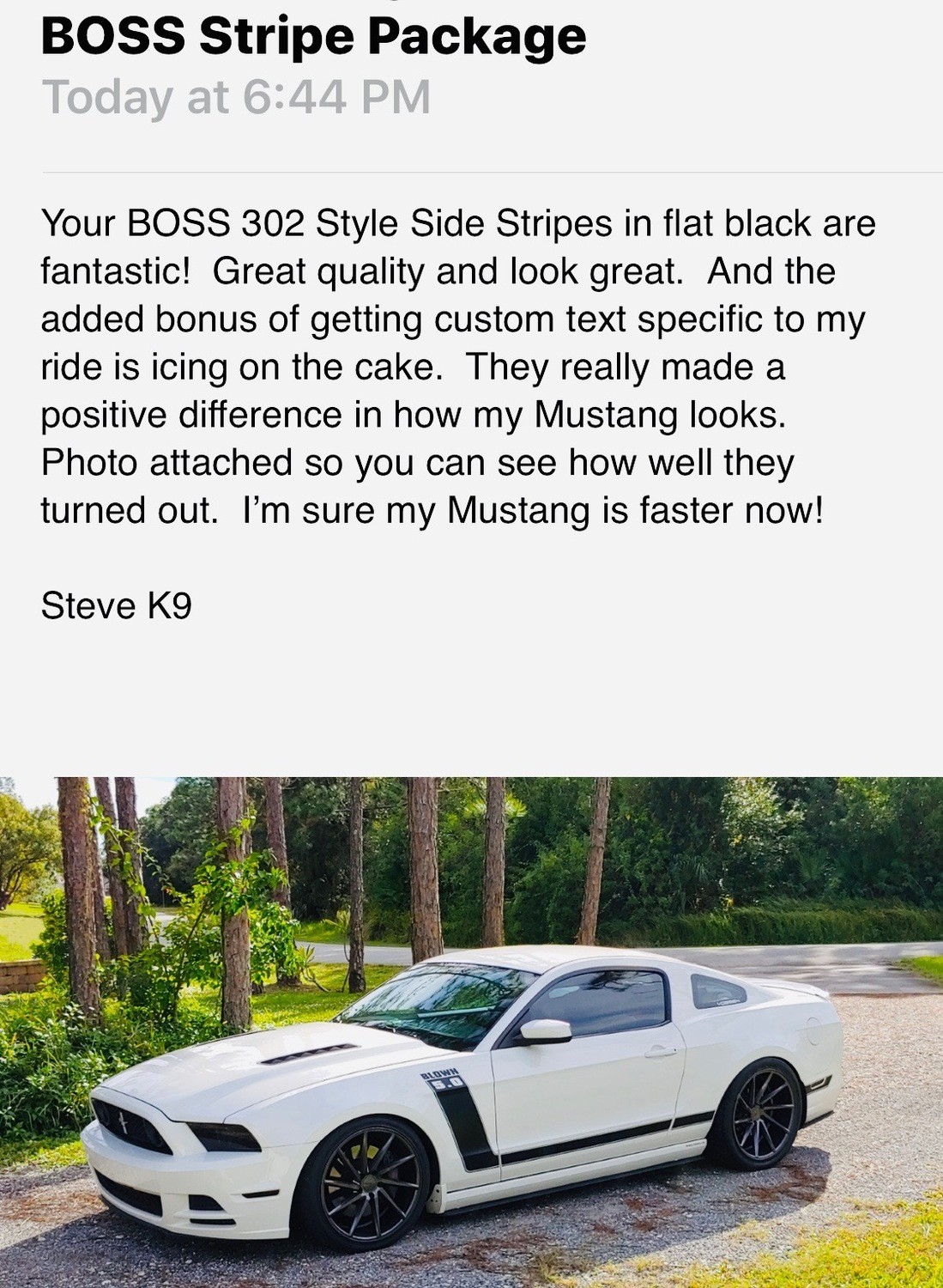 2010-2014 Mustang Boss Style Side Only Stripe Kit (Factory 2013 Style)