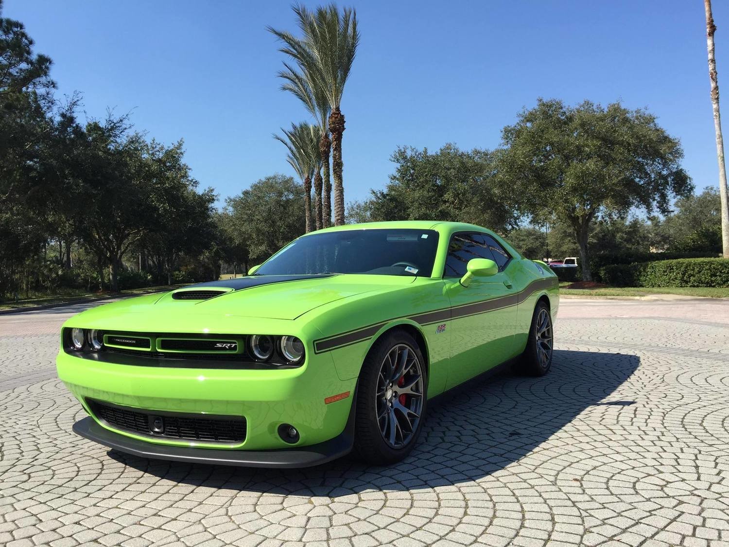 2008 - Up Dodge Challenger "1970 R/T Style" Full Length Lower Bodyline Side Stripe Kit