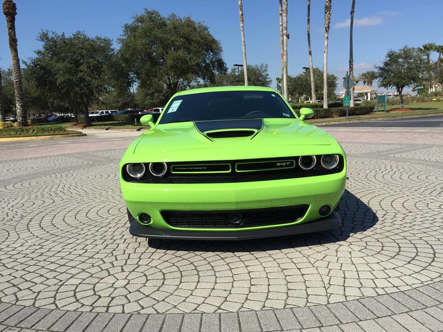 2015 - up Dodge Challenger SRT Hellcat Scat Pack RT GT Hood Blackout Graphics