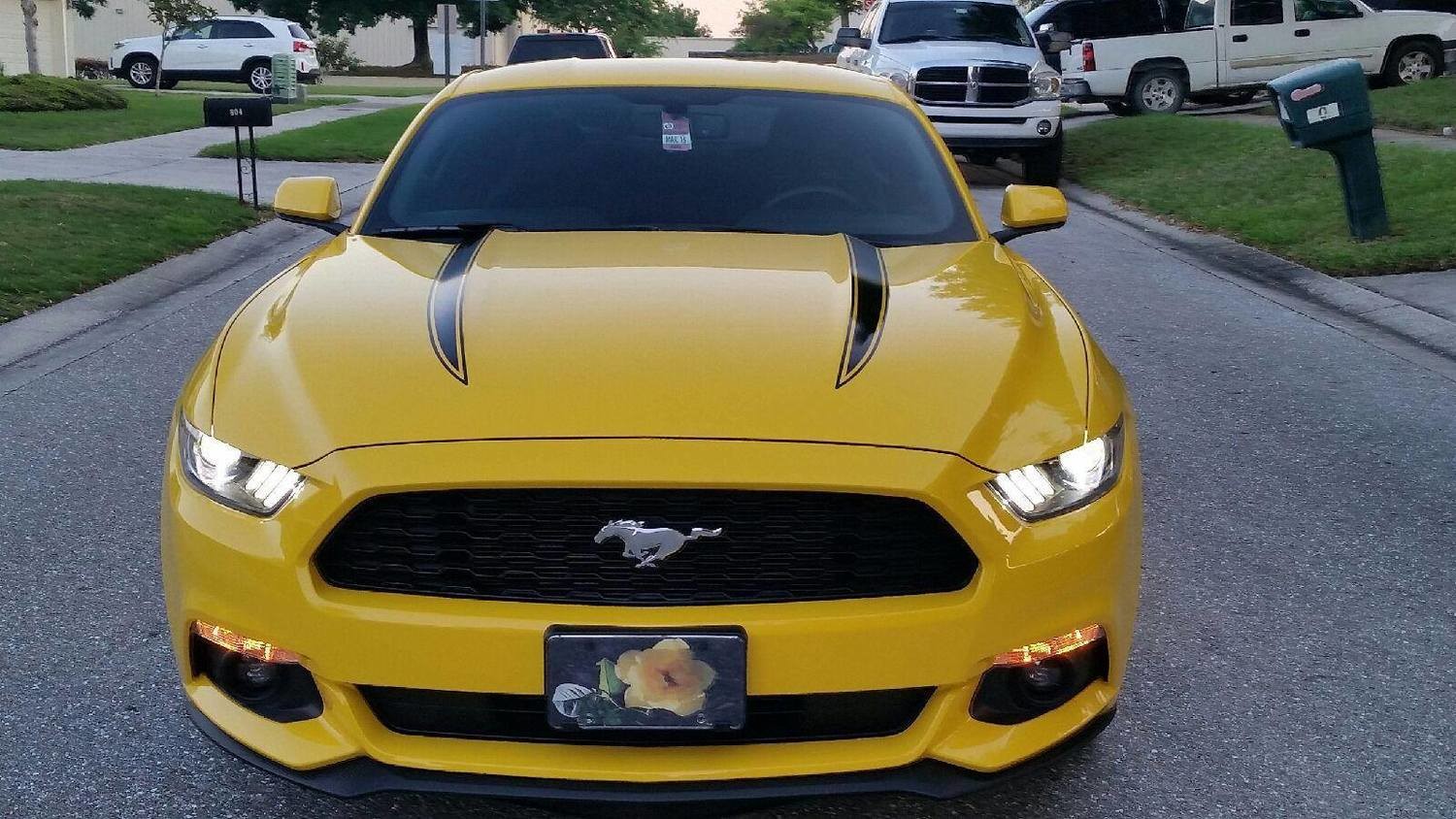 2015 - 2018 Mustang Hood Spear Accent Graphics