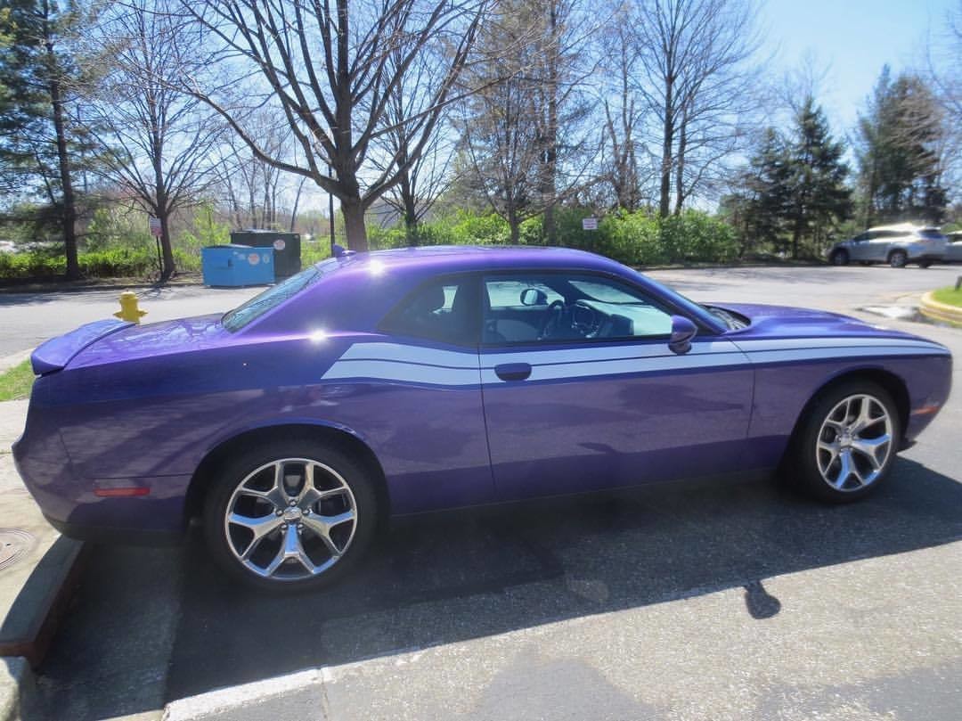2008 - Up Dodge Challenger 71 RT Style Side Stripes