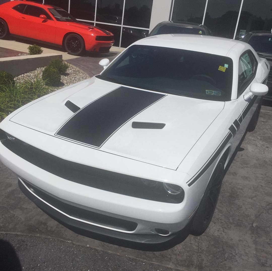 2015 - up Dodge Challenger Center Hood Stripe Vinyl Graphics