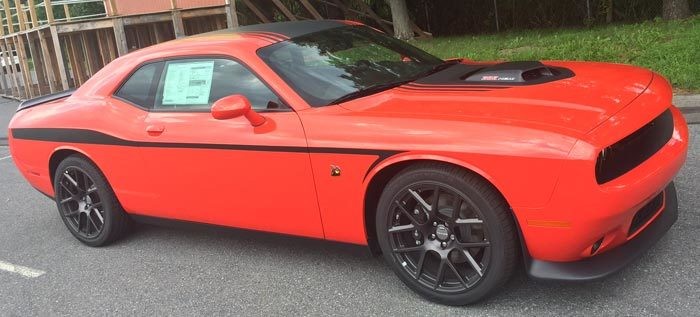 2008 - Up Dodge Challenger Devil Tail Lower Bodyline Stripe Kit