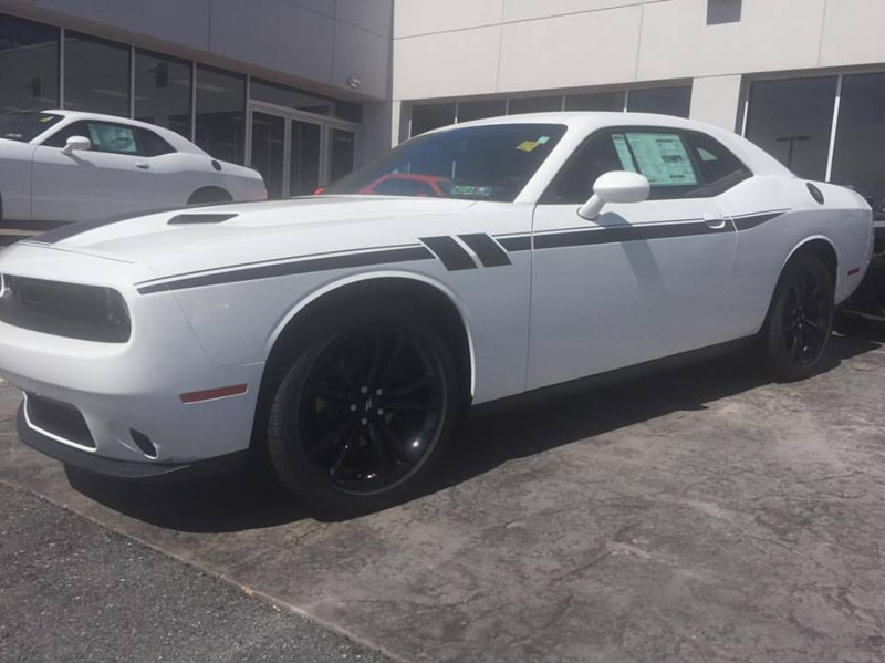 2008 - Up Dodge Challenger Side Accent Hash Stripe Graphic Kit