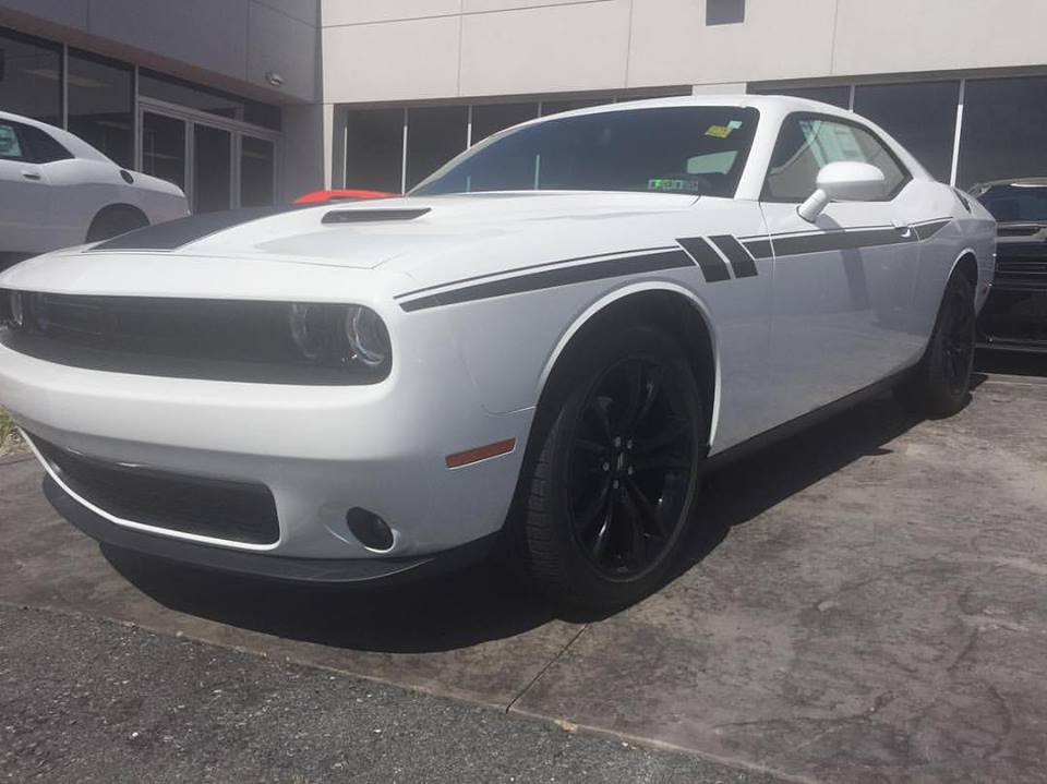2008 - Up Dodge Challenger Side Accent Hash Stripe Graphic Kit