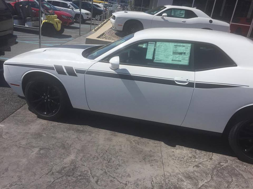 2008 - Up Dodge Challenger Side Accent Hash Stripe Graphic Kit
