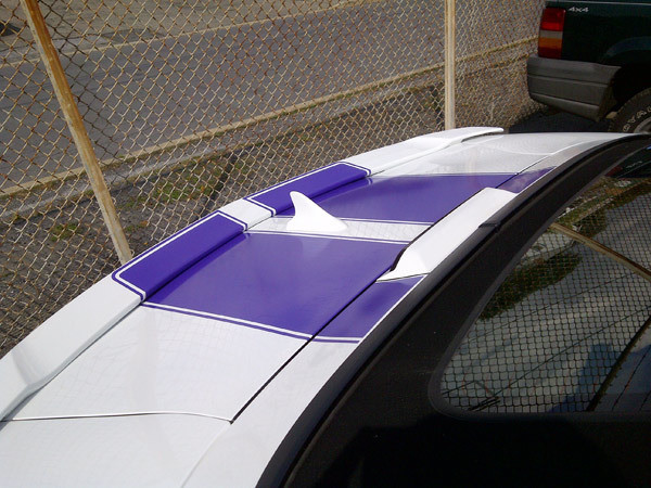 2010 - 2015 Camaro Dual Rally Stripes