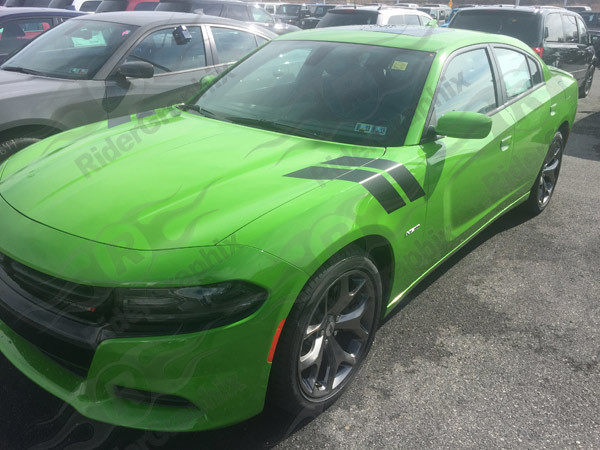2006 - Up Dodge Charger Hood to Fender Stripes